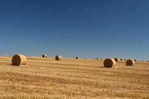 okla farm