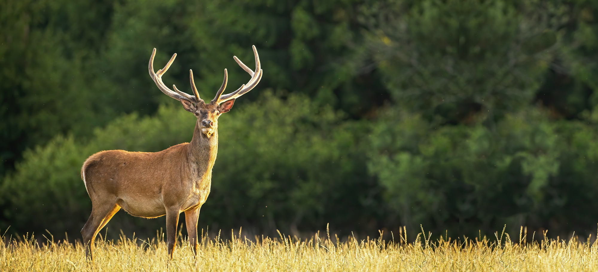 Land Loan Specialists Highlyexperienced financial advisors on land